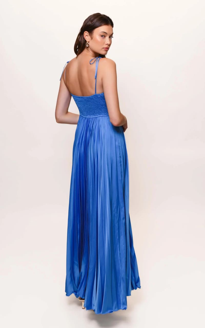 Hutch - Ayla Pleated Maxi Dress