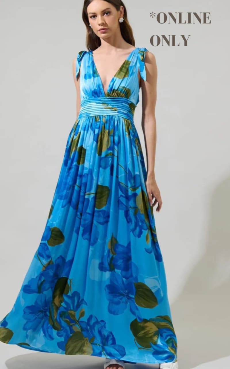 Sugarlips- Neiva Floral Descanso Pleated Maxi Dress in Blue floc