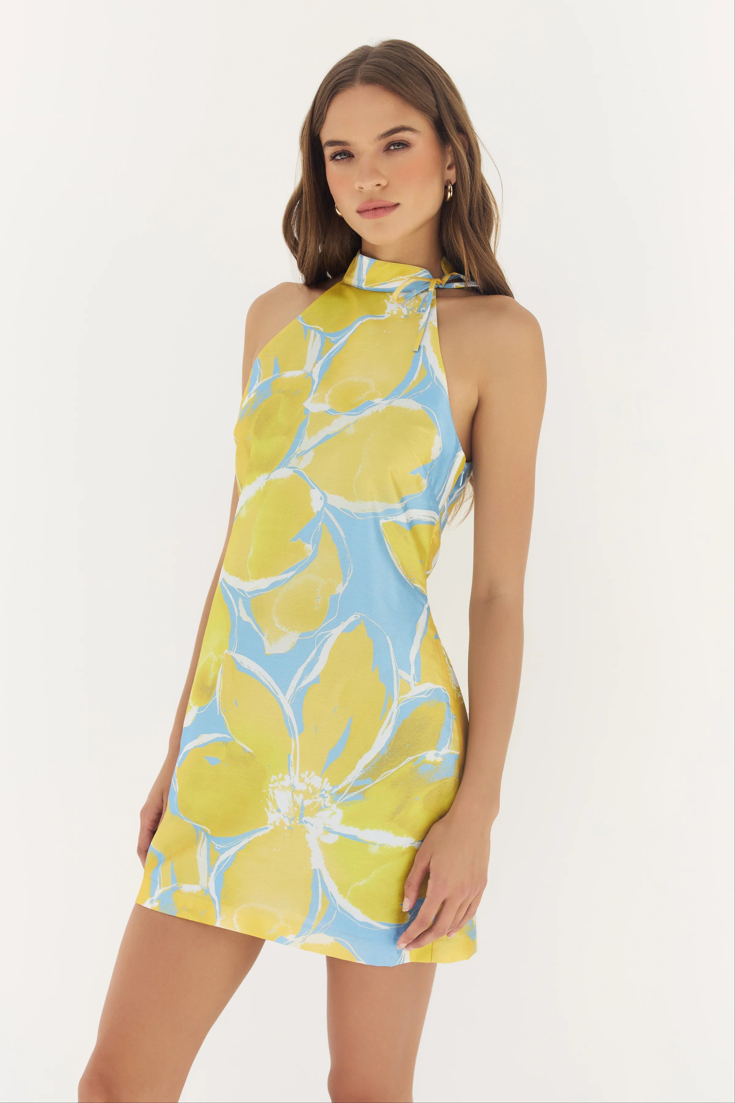 Hutch - Nami Mini Dress in Blue/Yellow Watercolor Gardenia