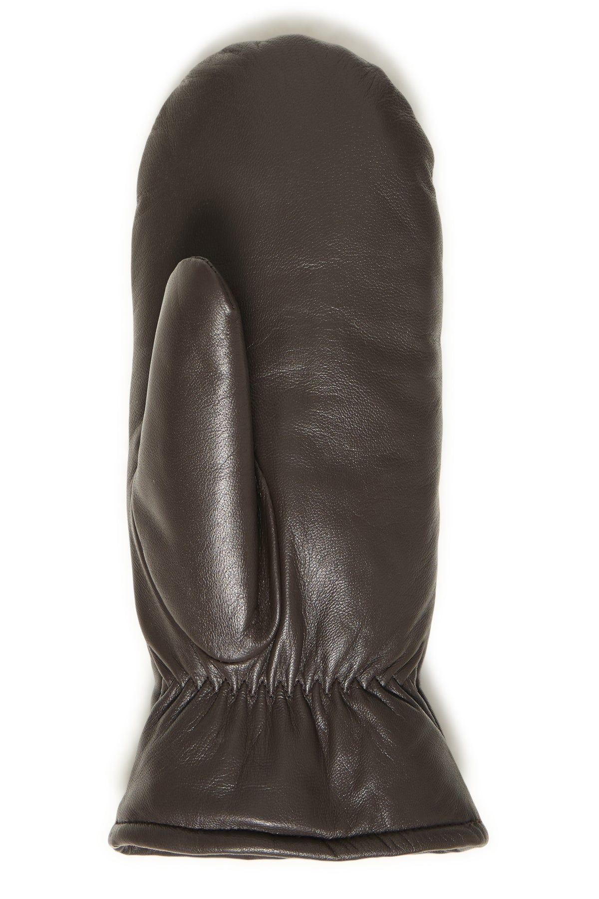 Fransa- Ajlin Leather Mittens in Rain Drum