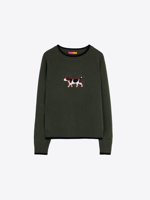 Vilagallo- Wool Embroidered Dog Sweater