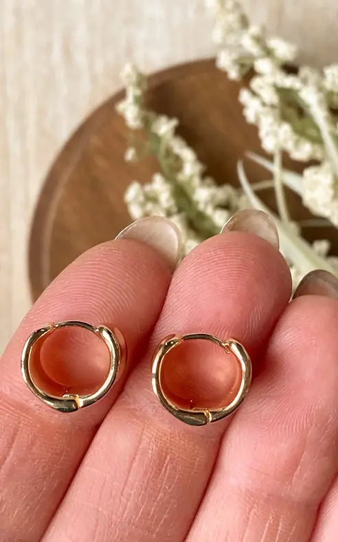 Agaveh- Grace Hoops