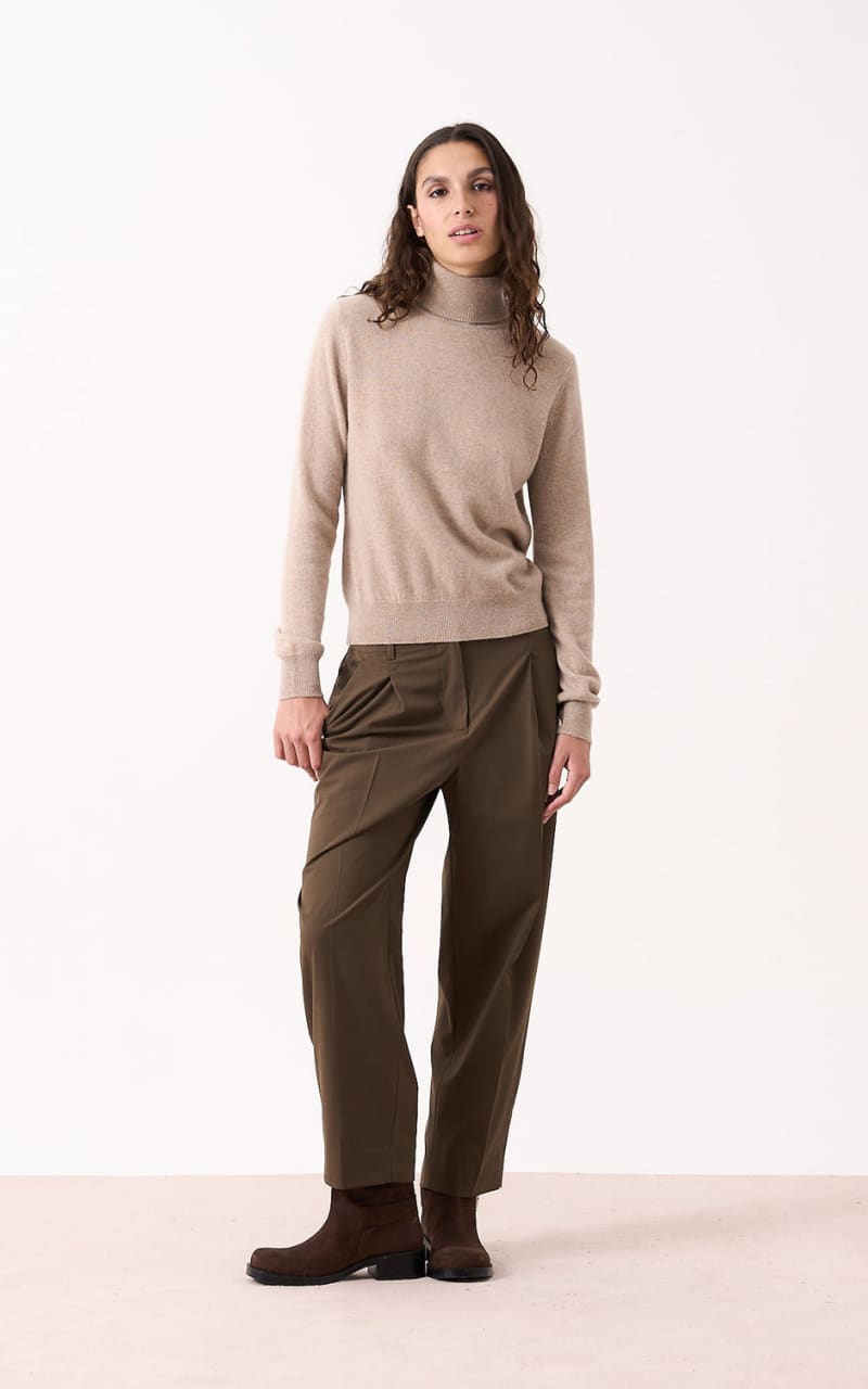 Absolut Cashmere- Themys Turtleneck Sweater - sweater