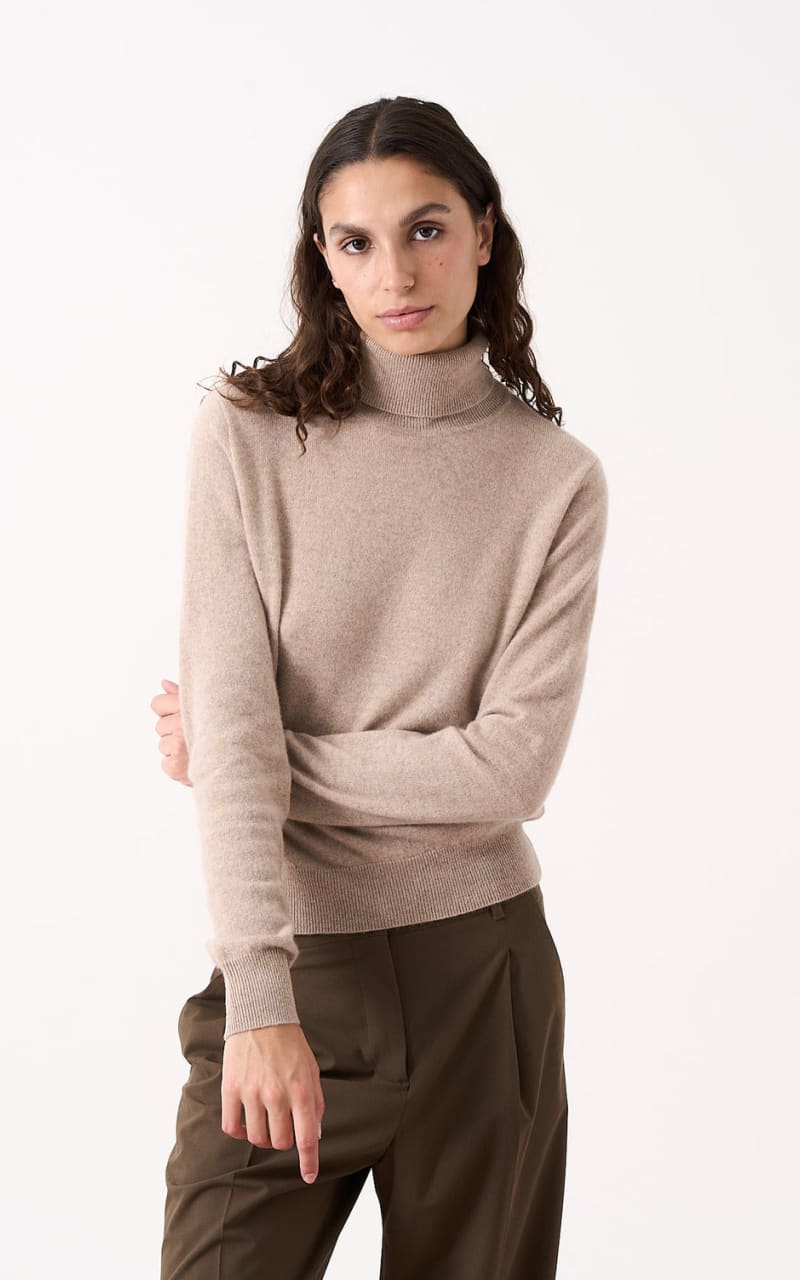 Absolut Cashmere- Themys Turtleneck Sweater - sweater