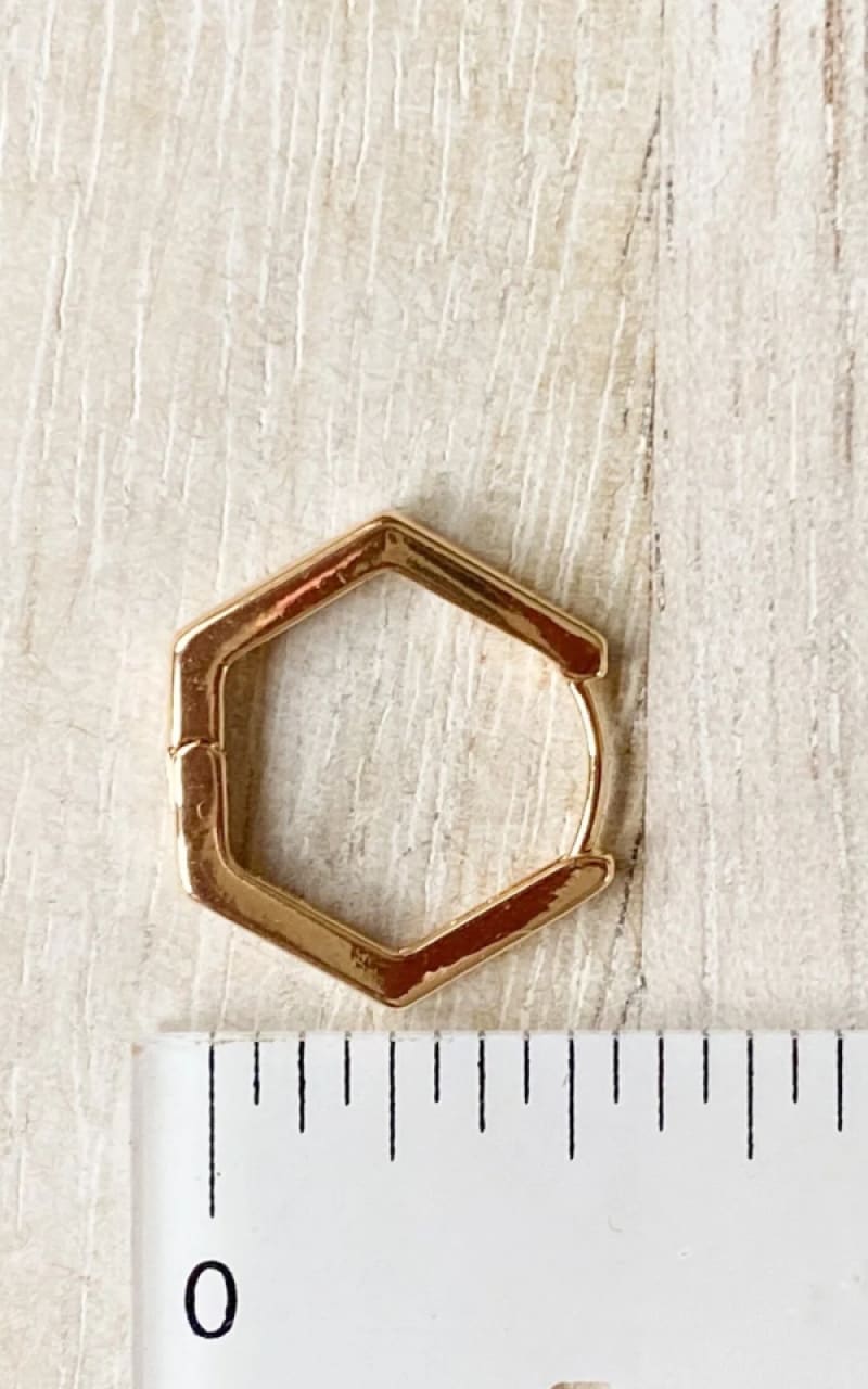 Agaveh - Hex Huggies - jewelry