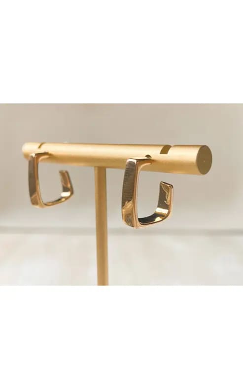 Agaveh- Squared Earrings - jewelry