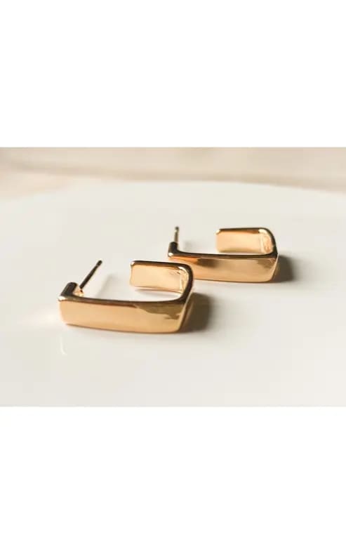 Agaveh- Squared Earrings - jewelry