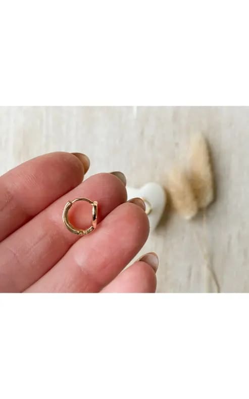 Agaveh- Wish Hoops - jewelry