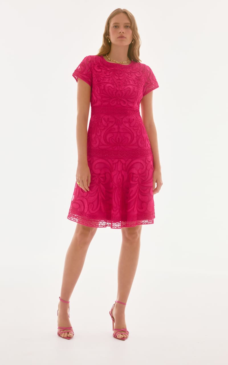 Joseph Ribkoff- Embroidered Mesh Fit and Flare Dress