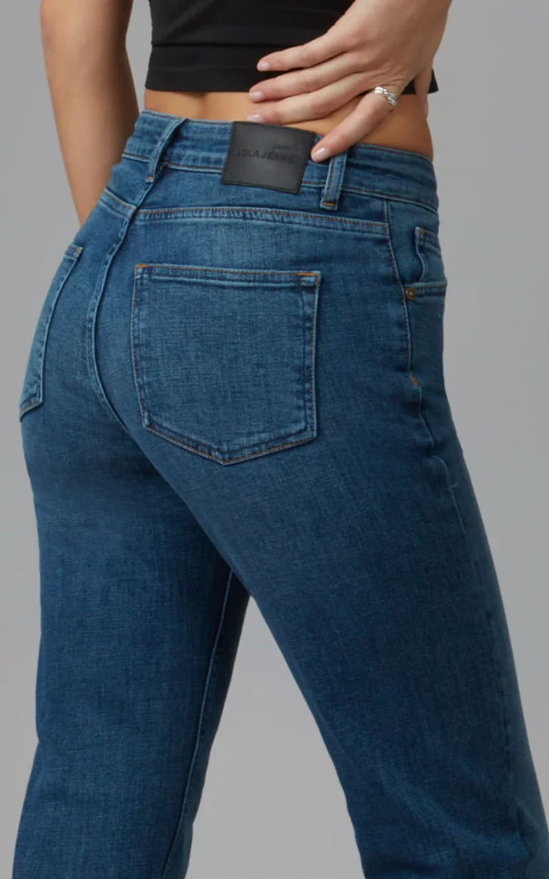 Lola Jeans- Denver High Rise Straight Leg Jeans in Dim Sky