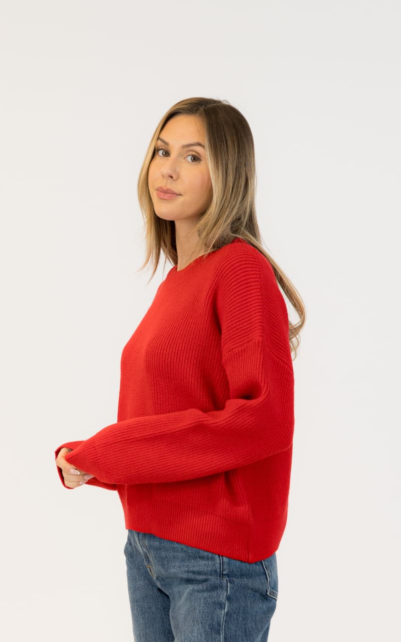 Lyla + Luxe Avery Crewneck Sweater in Red SWEATER &