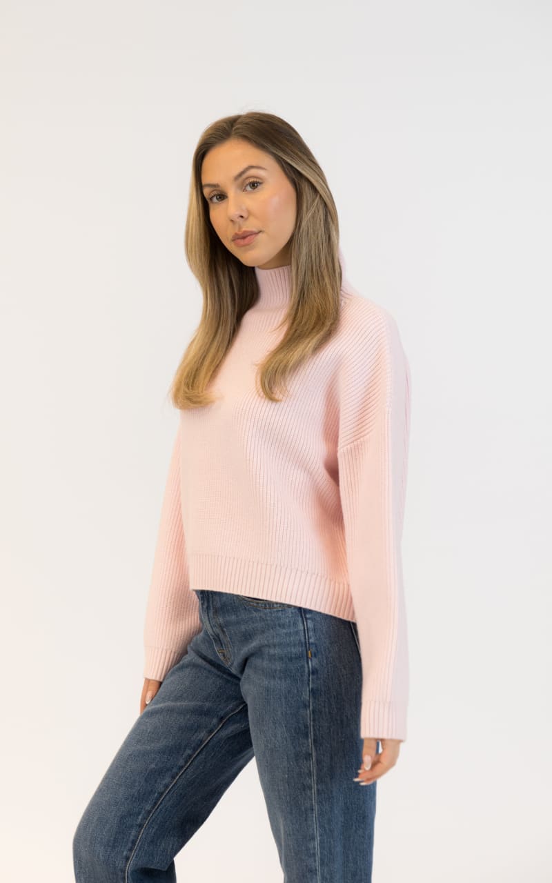 Lyla + Luxe Evolet Mockneck Sweater in Pale Pink SWEATER &