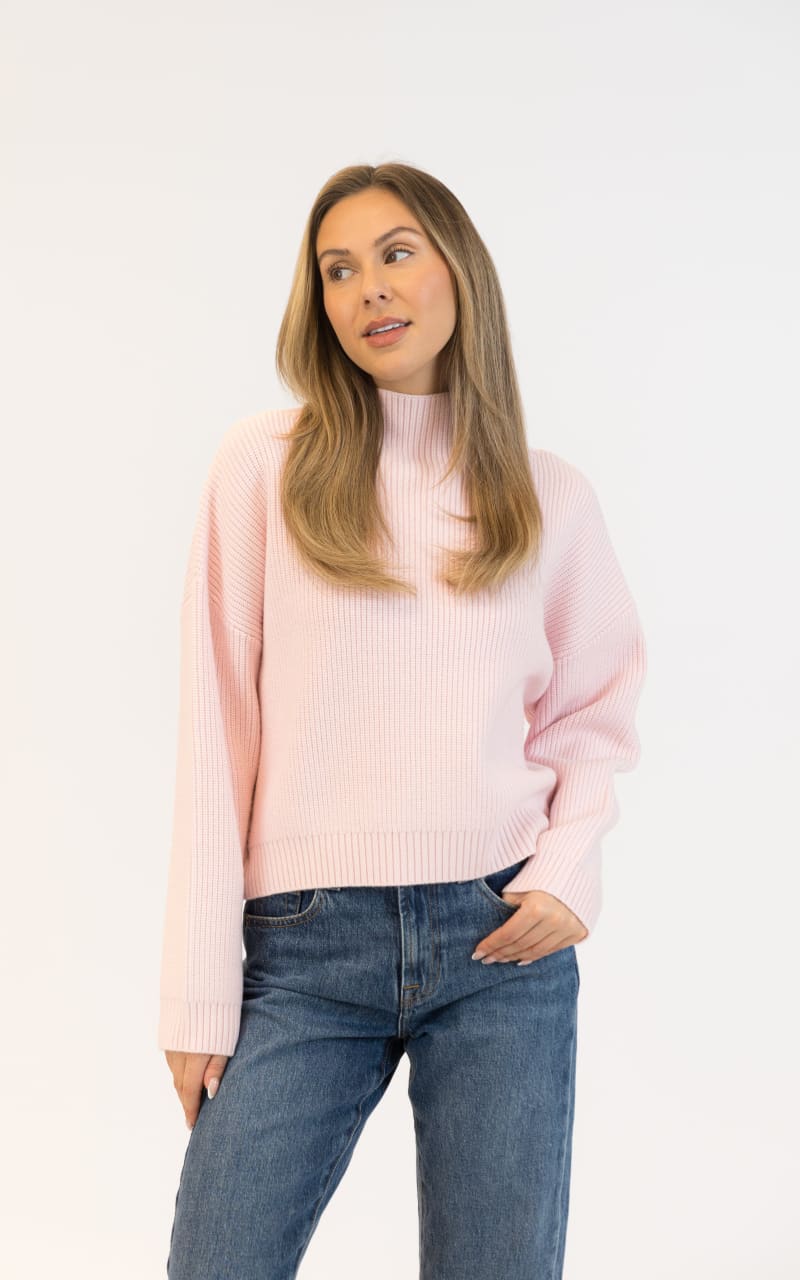 Lyla + Luxe Evolet Mockneck Sweater in Pale Pink SWEATER &
