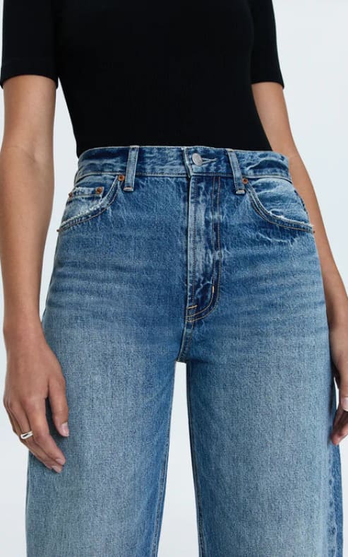 Pistola- Wes High Rise Barrel Jean in Spectacle - denim