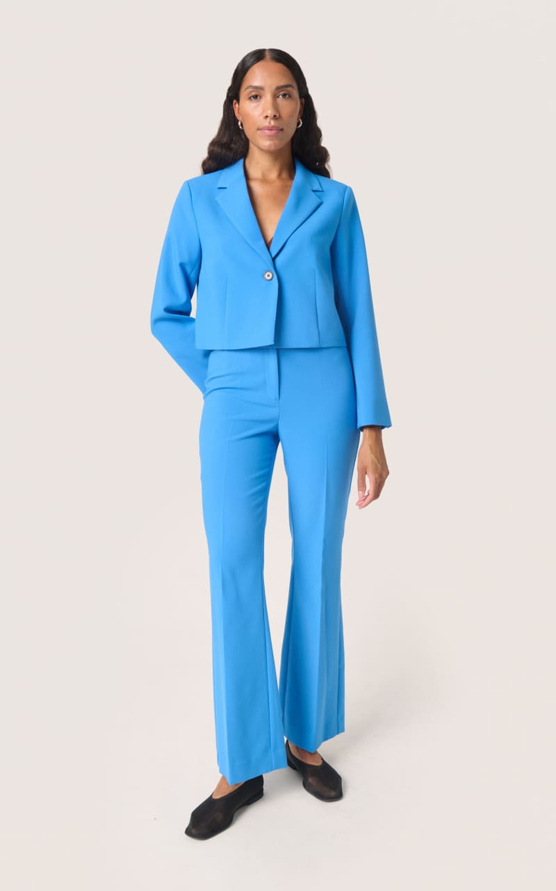 Soaked In Luxury- Corinne Cropped Blazer