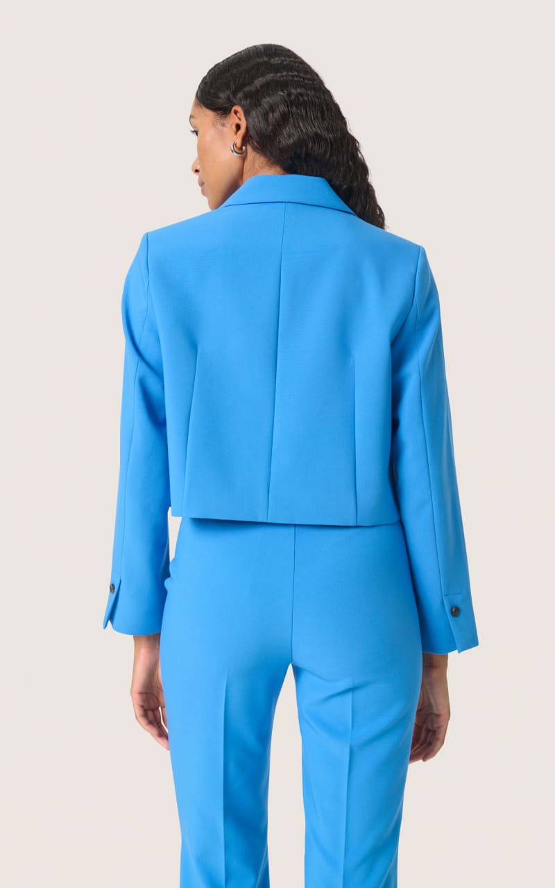 Soaked In Luxury- Corinne Cropped Blazer