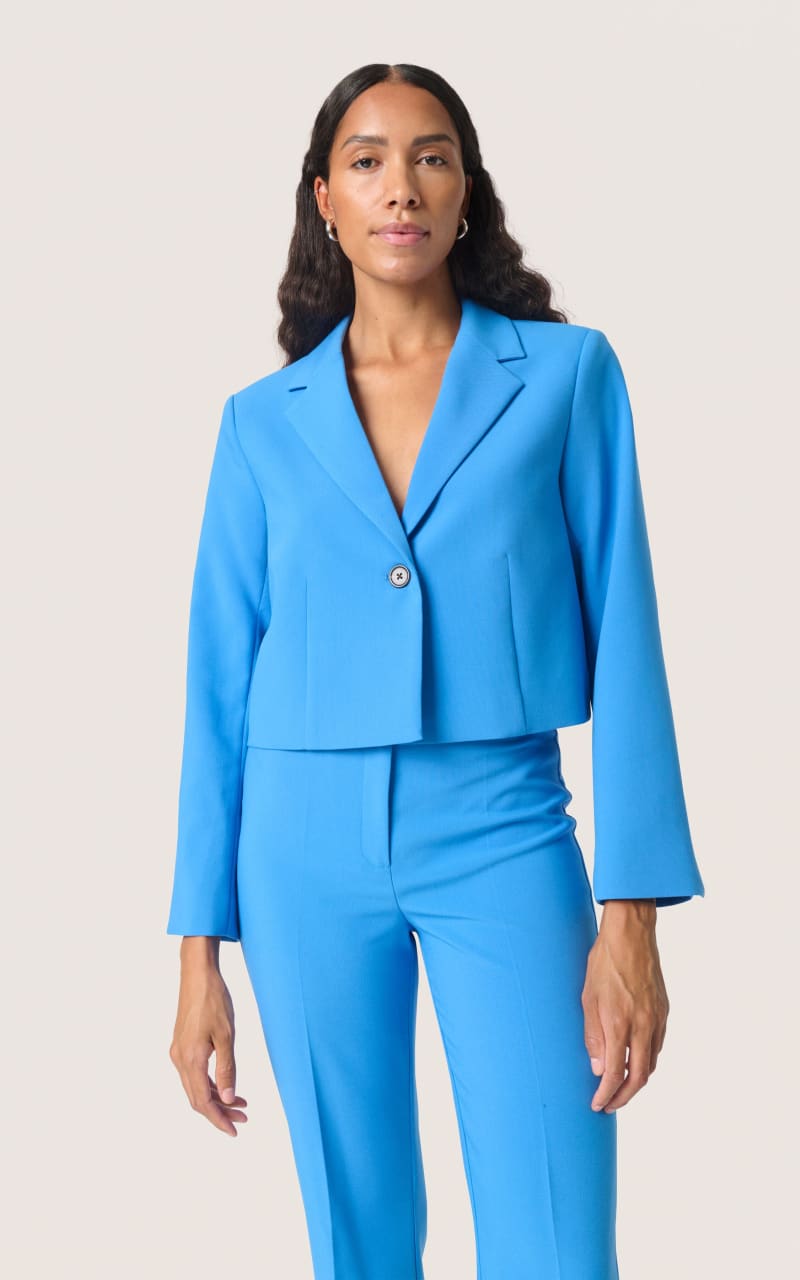 Soaked In Luxury- Corinne Cropped Blazer