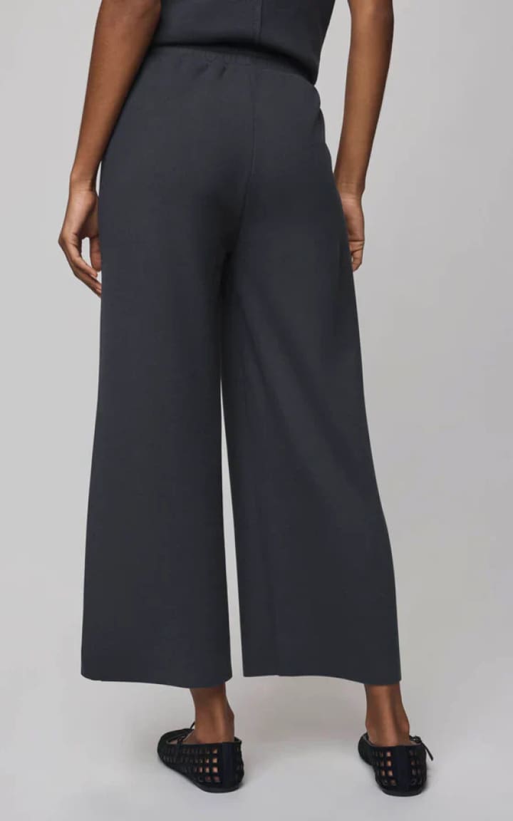 Splendid Winslow Drawstring Pant in Lead