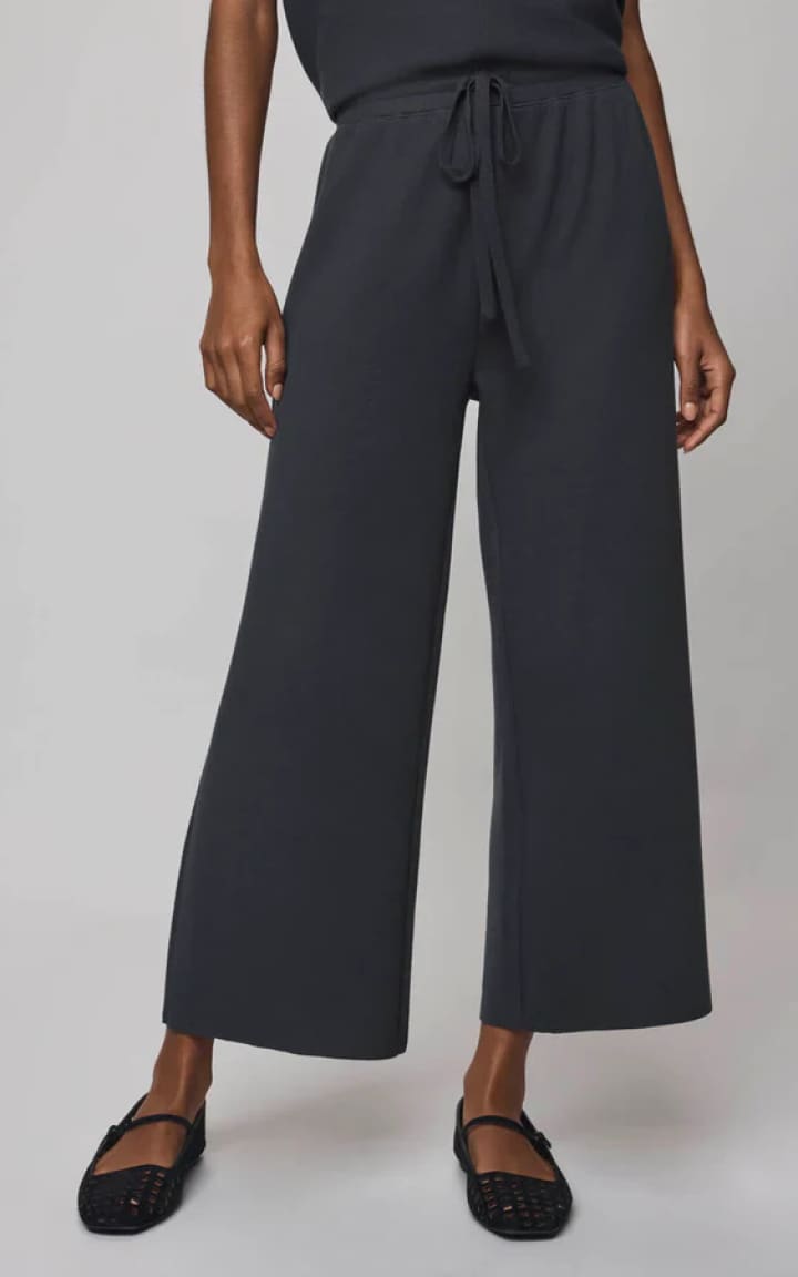 Splendid Winslow Drawstring Pant in Lead