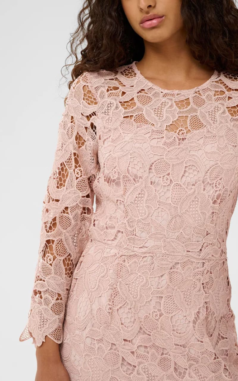 InWear- Aimee Dress in Dusty Blush - DRESS