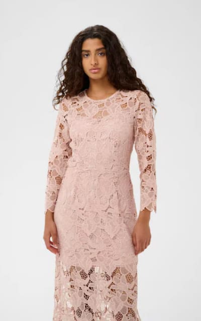 InWear- Aimee Dress in Dusty Blush - DRESS