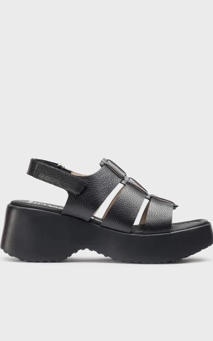 Wonders- Platform Sandal in Black - footwear