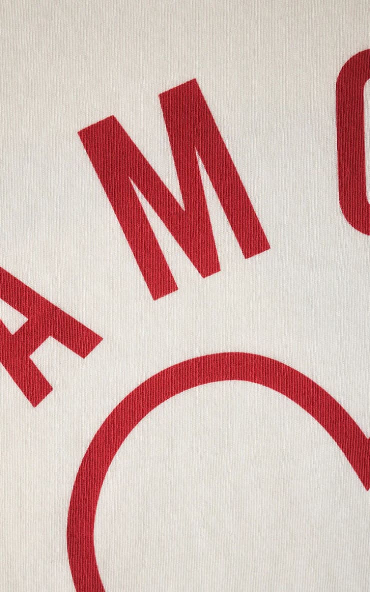 Z SUPPLY- Amour Tourist Tee in Sea Salt - T-SHIRT & TANK