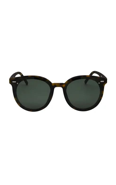 I SEA- Payton Polarized Sunglasses - TORT/G15