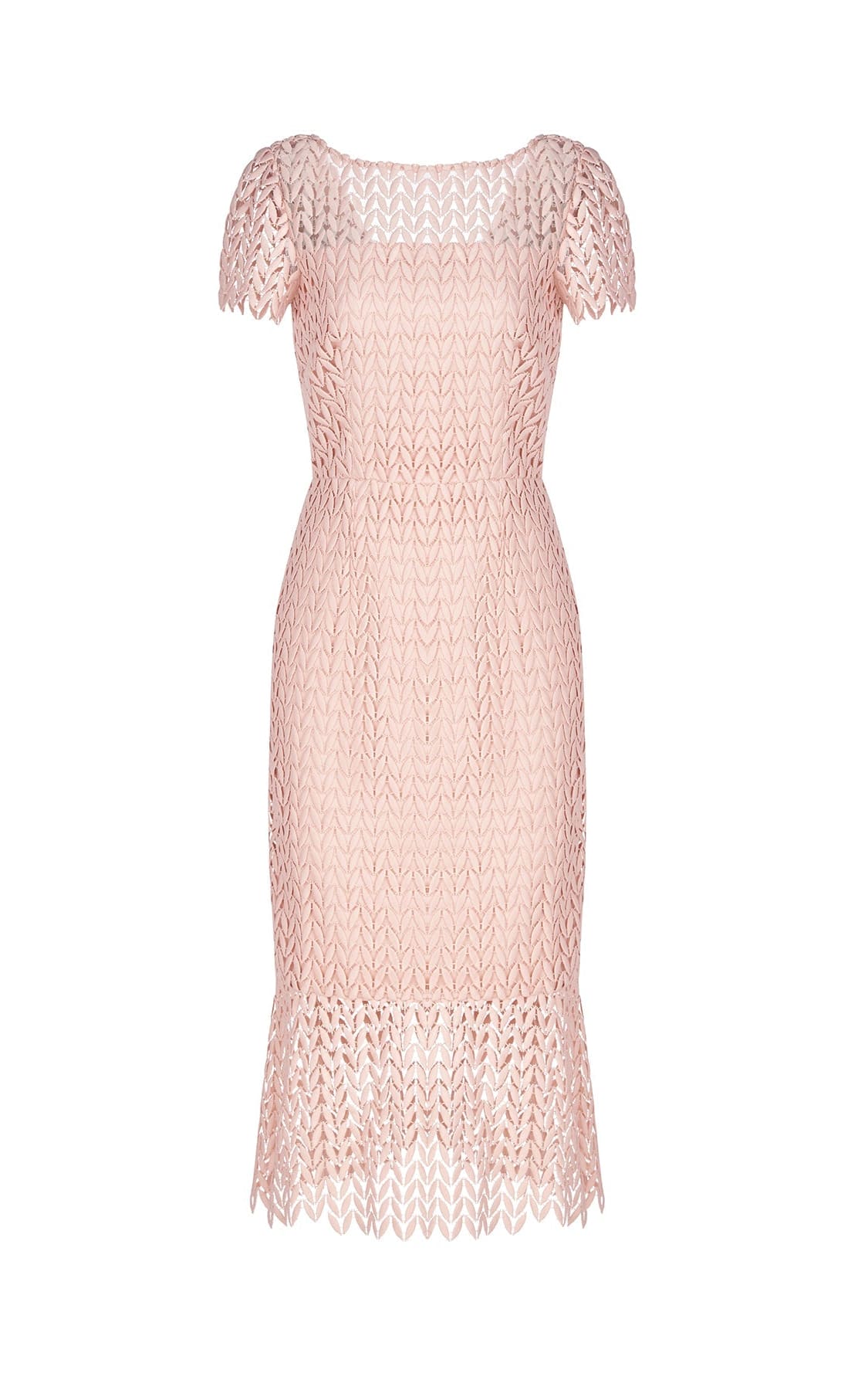 Kay Unger - Tatum Lace Dress In Soft Blush | floc boutique Kay Unger - Tatum Lace Dress In Soft Blush | floc boutique