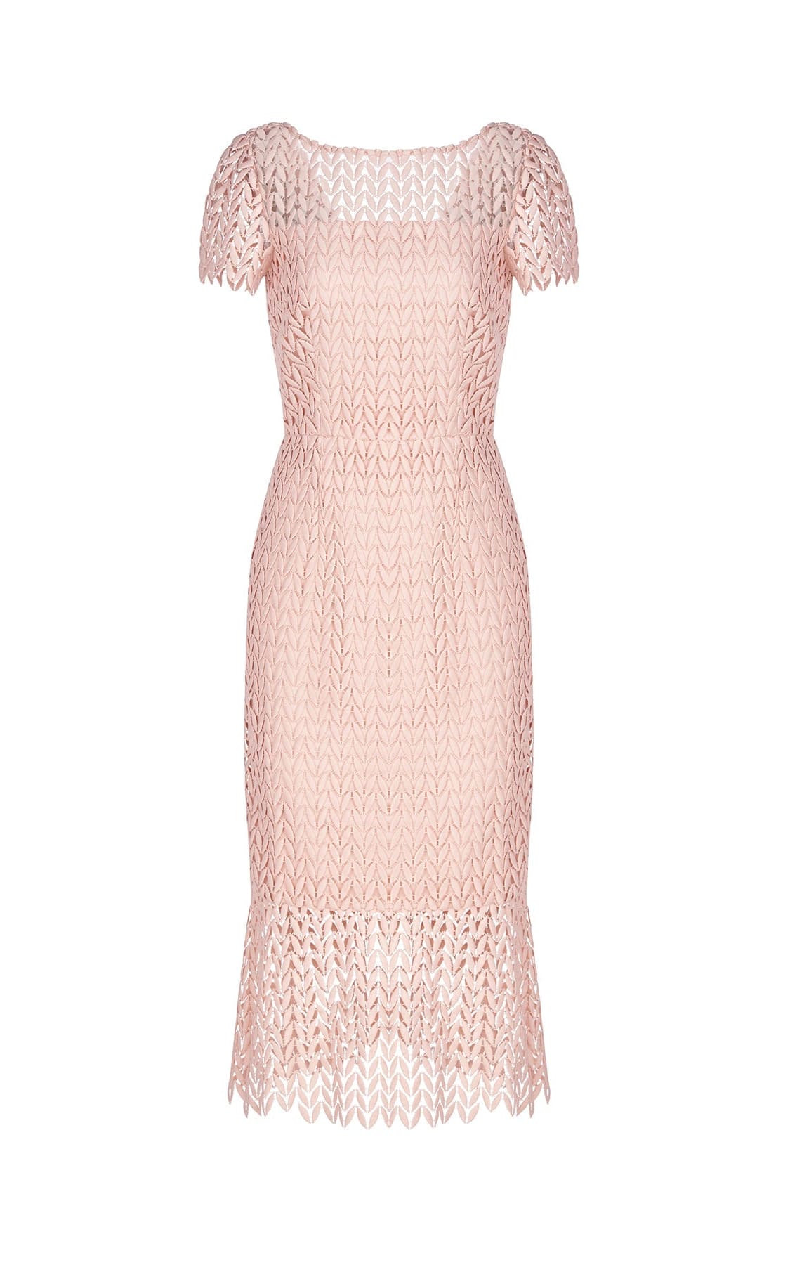 Kay Unger - Tatum Lace Dress In Soft Blush - Dresses