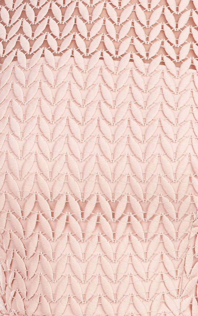 Kay Unger - Tatum Lace Dress In Soft Blush - Dresses